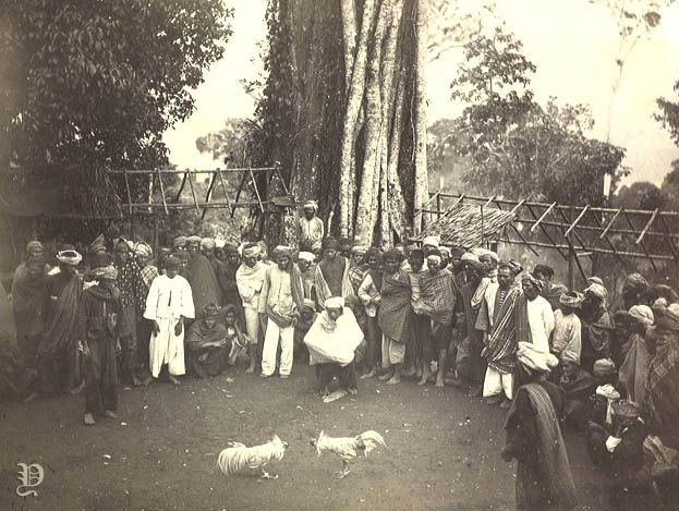 Budaya Masyarakat Nusantara